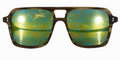 UNT Vantage Wayfarer sunglasses.