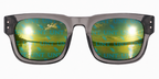 UNT Grey Maverick Wayfarer sunglasses.