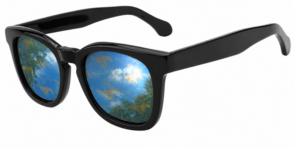 SMU Maverick Wayfarer sunglasses.