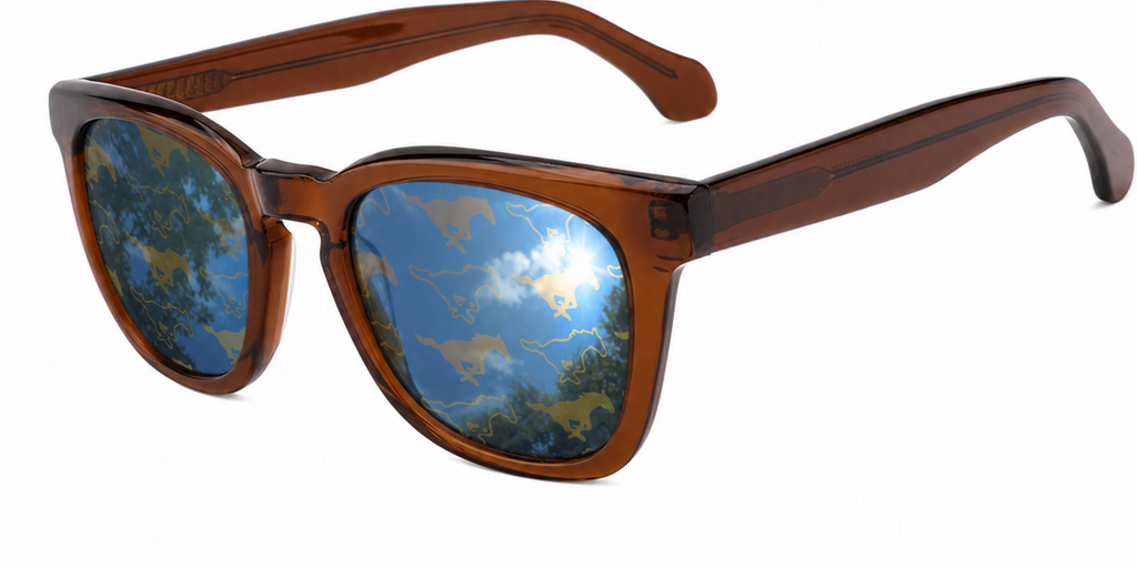 SMU Maverick Wayfarer sunglasses.