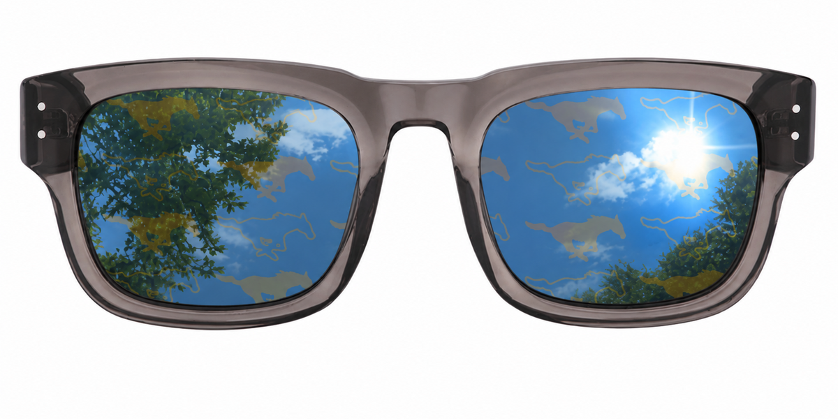 SMU Maverick Wayfarer sunglasses.