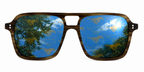 SMU Wayfarer sunglasses.