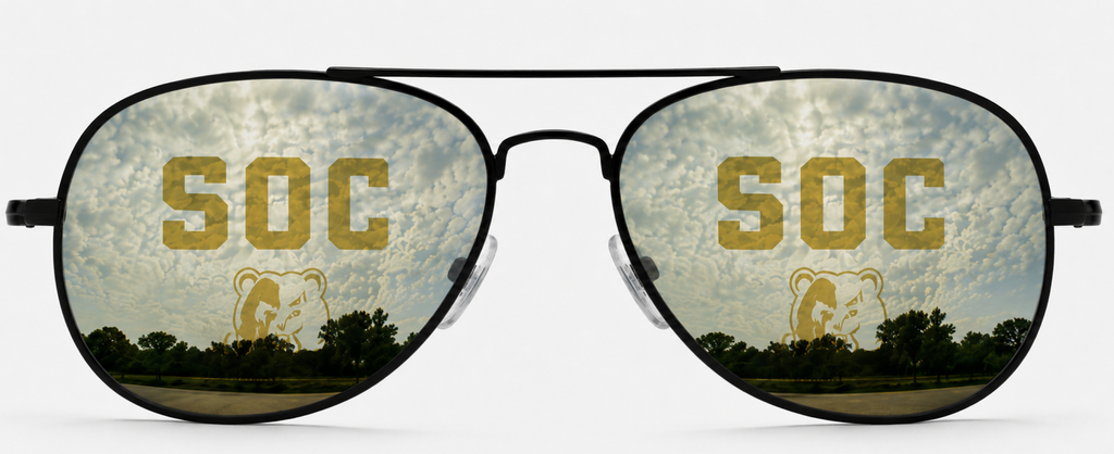 South Oak Cliff Venture Aviator sunglasses.