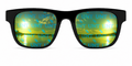 UNT Legend Wayfarer sunglasses.